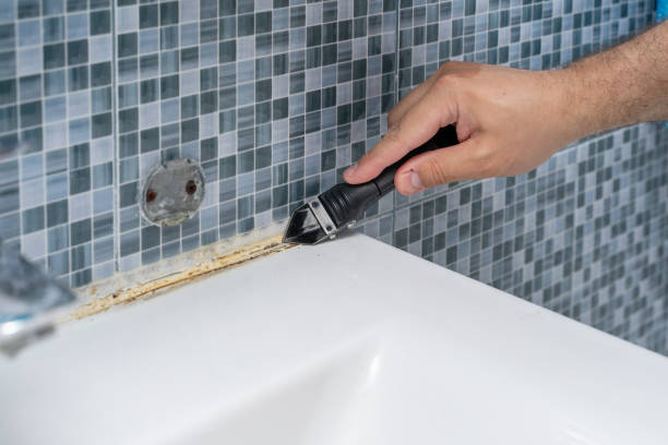 Best Preventive Mold Services in Ross, CA