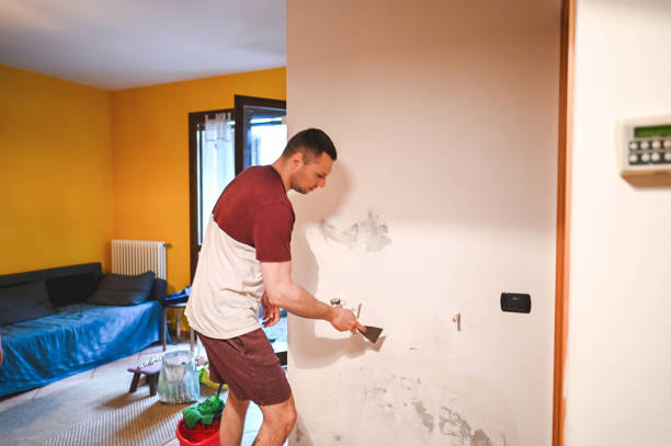 Best Residential Mold Remediation in Ross, CA